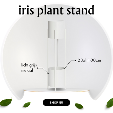 De voordelen van planten op kantoor